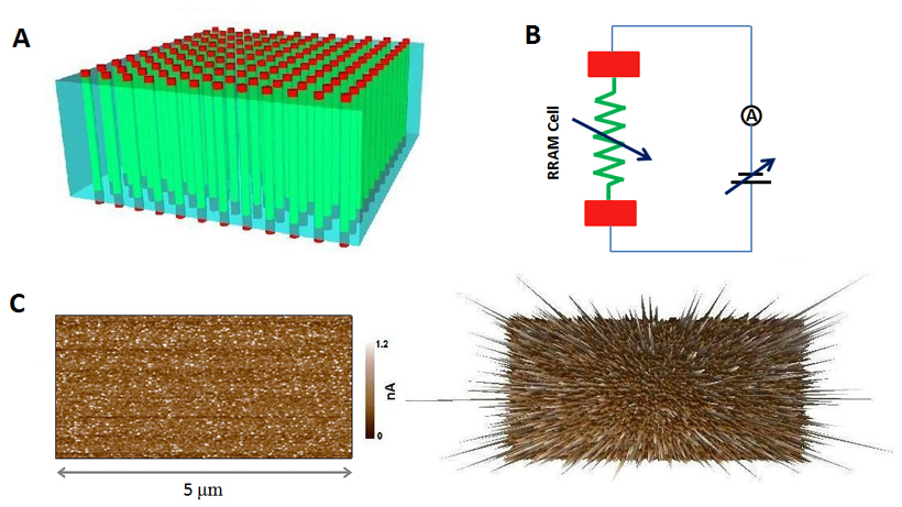 (A) An illustration of the RRAM array with each memory cell comprising of one filament (sandwiched between two electrodes). In comparison to the surrounding insulator matrix, a number of nano-filaments are formed within the bulk oxide. (B) A basic element of a RRAM cell. Control of the electrical field leads to different resistance states. (C) Localized formation of conductive filaments in a TiO2 thin film. The left shows the conductivity map recorded by CAFM. The right shows the same current mapping in 3D. 