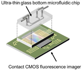 A diagram of the on-chip fluorescence imaging platform showing how the ultra-thin glass bottom microfluidic chip sits on top of the contact CMOS fluorescence imager.   Credit: Takehara et al.