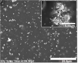 This electron microscope image shows tiny nanoparticles of bismuth ferrite embedded in a polymer film. The film enhances the unique electric and magnetic properties of bismuth ferrite and preserves these properties even when bent.  IMAGE CREDIT -- YoungPak Lee/ Hanyang University