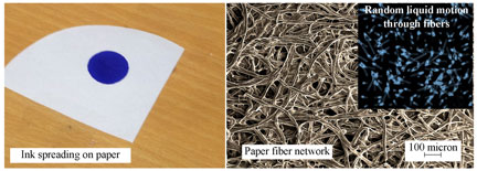 Investigators documented spreading of ink on a filter paper of Whatman Grade 1, and analyzed the process with a scanning electron microscope. Scanning micrographic results show paper fiber distribution, along with the micro-particle-image-velocimetry measure of random liquid movement through the network. Researchers conclude this evidence confirms diffusive dynamics at work in the spread of liquid through a paper matrix. <br/>CREDIT: Chakraborty