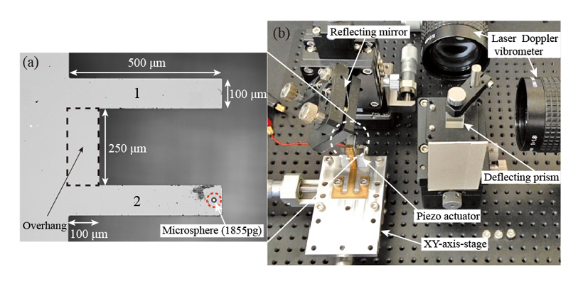 Mass sensing system featuring the coupled microcantilevers and the microsphere