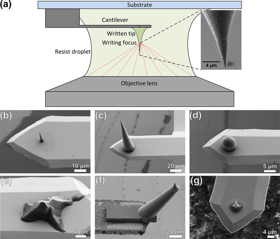 3-D direct laser writing based on two-photon polymerization can be used to create custom-designed tips. (a) Schematic drawing of the writing process on the cantilever using two-photon polymerization. The inset shows a scanning electron microscope image of the tip apex. To obtain a sharp and defined tip apex, it was written with optimized (but slower) parameters so that the surface of the tip apex is smoother than the rest of the structure. A large variety of tips can be fabricated in this way. (b) High (20 microns) and thin (5 microns at the base) tip. (c) Extremely long tip with a height of 100 microns. (d) Spherical tip with diameter of 10 microns. (e) Tip in the shape of the famous Swiss mountain “Matterhorn.” (f) Protruding tip that is visible from the top during scanning. (g) Shrunk conical tip after carbonization through pyrolysis (decomposition caused by exposure to high temperatures).   Credit: Karlsruhe Institute of Technology