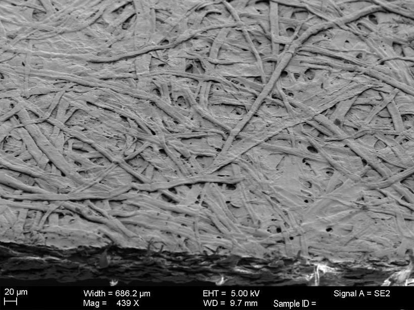 gold-coated fibers on a microscopic level