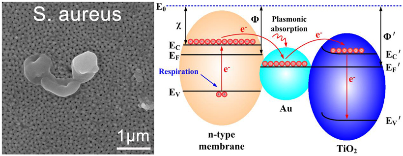 Electron extraction by gold nanopart