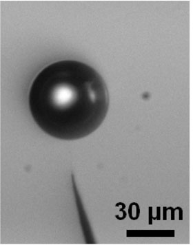 Microbubble immobilized in the solution, above the apex of the nanoelectrode (potential Vm=3V, v=1000 Hz).