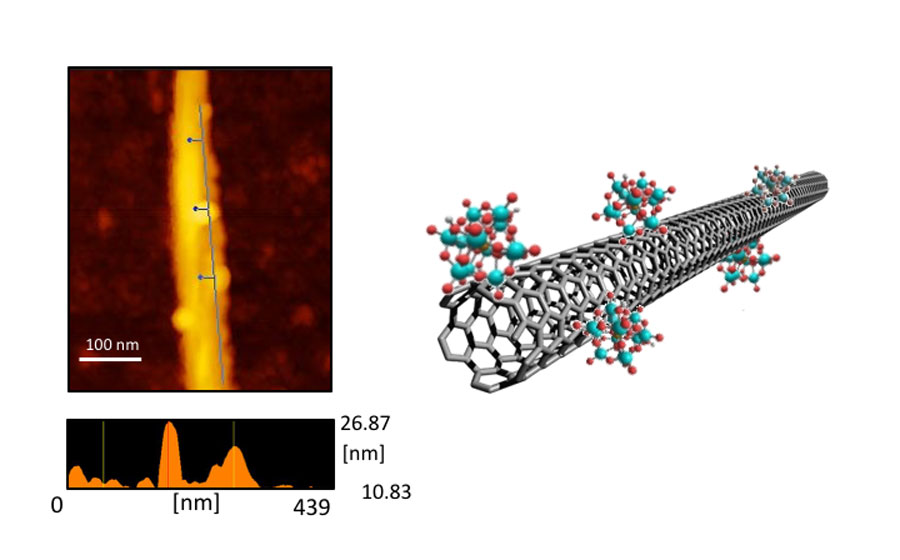 Researchers have demonstrated that functionalizing SWNTs with phosphomolybdic acid generates a large and tunable type of electrical noise that could be used to develop future SR devices.  Credit: Megumi Akai-Kasaya