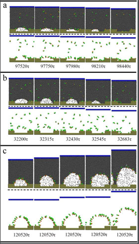 Several typical snapshots for nanobubbles losing their stability with various concentrations of surfactants and levels of interaction with substrates. In each picture, top panel shows evolution of the system with all involved particles, while in the bottom panel, solvent molecules are not shown to clarify the effect of surfactants. CREDIT: Qianxiang Xiao, Yawei Liu, Zhenjiang Guo, Zhiping Liu, and Xianren Zhang