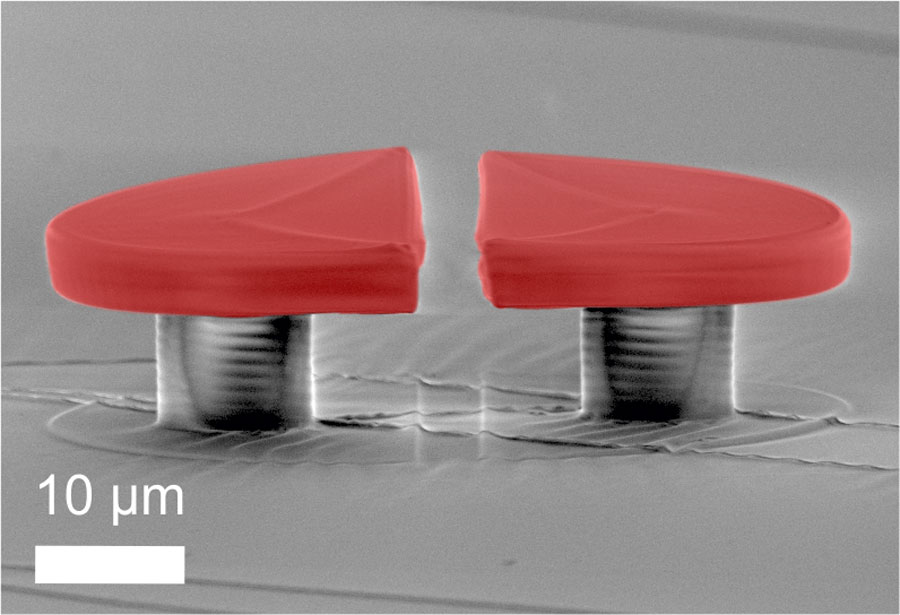 Scanning electron micrograph of a polymeric WGM split-disk cavity: Two opposing half-disks (R=25µm) with an intermediate air gap of several microns are structured onto an elastomeric PDMS substrate with direct laser writing. Credit: Tobias Siegle, Karlsruhe Institute of Technology