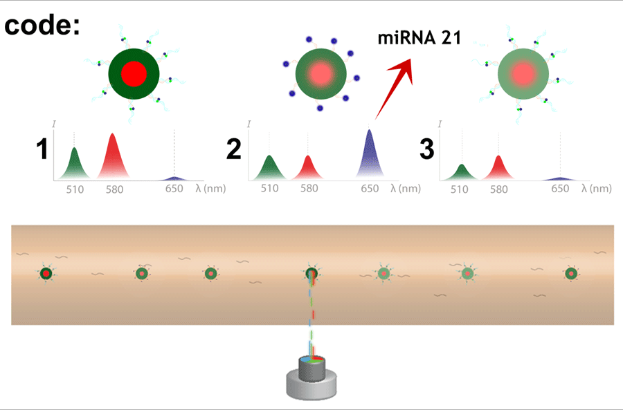 Spectral-encoded microgels and microfluidic device for multiplex fluorescence detection of microRNA.
