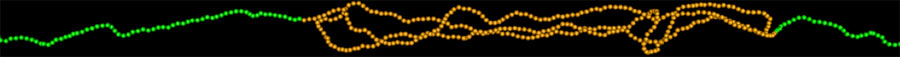 Depiction of a part of a simulated DNA molecule within a nanochannel. The green beads are an unknotted portion of the molecule and the orange beads are a knot. 