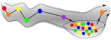 Figure B shows a pathological case (in particular, schizophrenia)  – the sequence is instable i.e. the initial sequence enters a chaotic valley after the purple unit.  This happens when cognitive inhibition is weak.CREDIT-Image adopted from Rabinovich, M.I. et al. (2014) "Robust sequential working memory recall in heterogeneous cognitive networks," Front. Syst. Neurosci. 8, 220