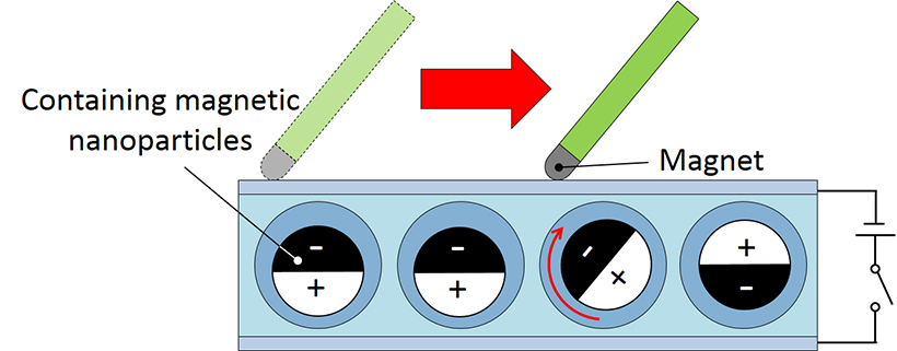 The black side of the microparticles contains magnetic nanoparticles that make it possible to write on the screen. A magnet pulled across the surface of the white display attracts the black side and the balls flip to face the magnet. Credit -- Yusuke Komazaki/ University of Tokyo