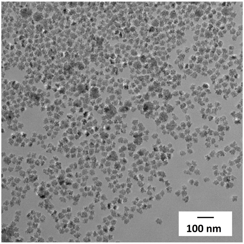 Transmission electron micropscopy images of flower-like magnetic nanoparticles