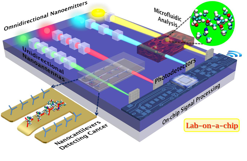 Unidirectional Optical Nanoantennas for Lab-on-a-chip Devices