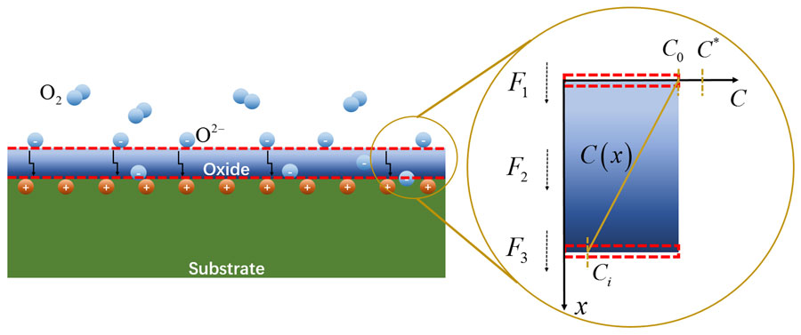Schematic of an oxide film/substrate system and the oxidation process. In the first stage, the flux affects the diffusion and adsorption of oxygen from gas to the gas/oxide interface. Credit: Mengkun Yue