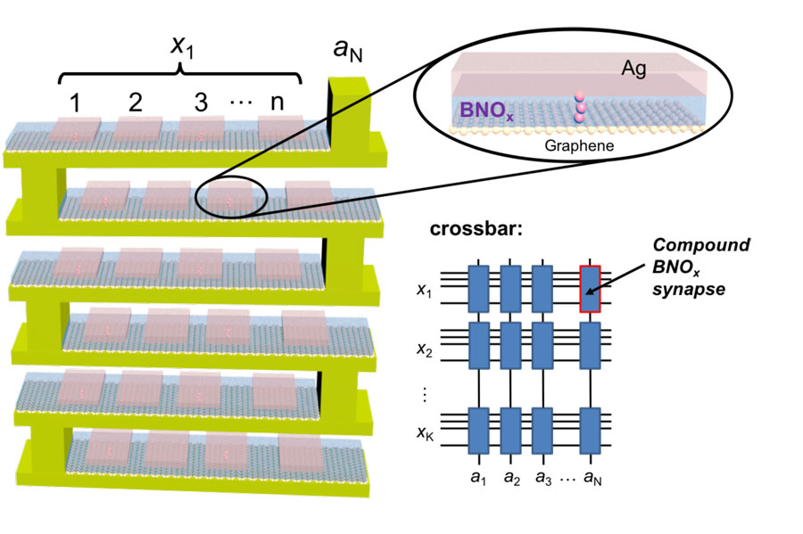 A conceptual schematic of the 3D implementation of compound synapses constructed with boron nitride oxide (BNOx) binary memristors, and the crossbar array with compound BNOx synapses for neuromorphic computing applications. Credit: Ivan Sanchez Esqueda