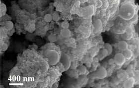 SEM image of platinum surface