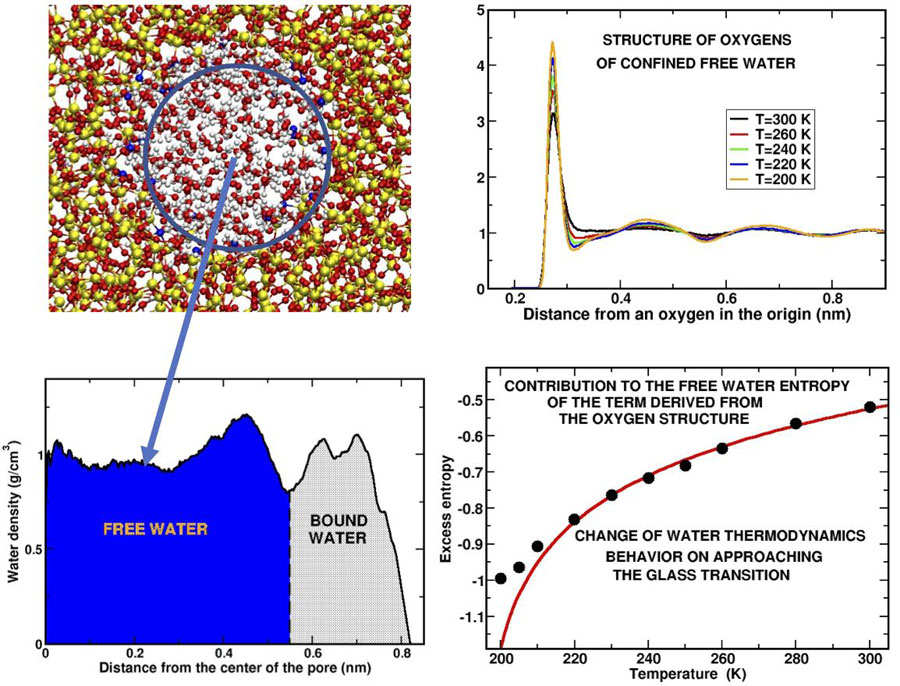 Top left panel: Snapshot of a slice of water confined in the silica pore. The blue circle contains the “free water,” the water molecules that are not in contact with the substrate.  Bottom left panel: Density profile of the water molecules along the pore radius. The regions occupied respectively by the free water and the “bound water,” water attached to the substrate, are indicated.  Top right panel: The curves represent how the oxygen atoms of the molecules are arranged in shells around a given oxygen atom in the origin at different temperatures. The peaks represent the positions where the different shells are located. The structure is shown for some of the supercooled temperatures investigated.  Bottom right panel: The main result of our computer simulation is given by the behavior of the excess entropy, a fraction of the total entropy, obtained from the oxygen structure of free water. The deviation of the calculated black points from the theoretical (red) curve indicates that water undergoes a change of behavior before and upon approaching the glass transition.  CREDIT:  Margherita De Marzio, Gaia Camisasca, Maria Martin Conde, Mauro Rovere and Paola Gallo