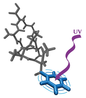 Initial UV excitation