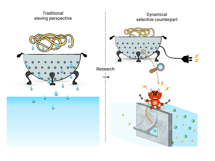 To separate molecules usually a “colander” type of filter is used (Left side). A new type of filter, where the holes of the sieve can be activated is explored. (Right side) Thanks to an external power input, the holes of the sieve (here doors) can be opened and closed. This power input plays the role of a crazy Maxwell Demon -- similar to a bouncer. Credit: Sophie Marbach