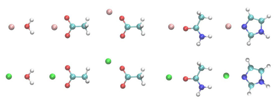 Structures of the metal ion-ligand dimers. White, cyan, blue, red, pink and green spheres are H, C, N, O, Mg and Ca atoms. Credit: Zhifeng Jing, Rui Qi, Chengwen Liu and Pengyu Ren