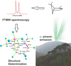 Gas-phase structure of alpha-pinene has been experimentally unveiled, using Fourier transform microwave spectroscopy and quantum chemical calculations.   Credit: Elias M. Neeman, including the picture of the forest
