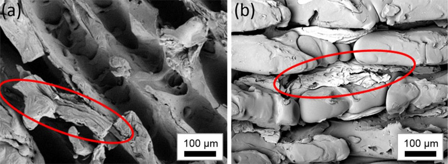 SEM images of (a) aluminum swarfes at the edges of the continuous wave laser structure and (b) remaining aluminum in the trenches of the molded polymer surface after tensile shear test. Credit: Matthieu Fischer