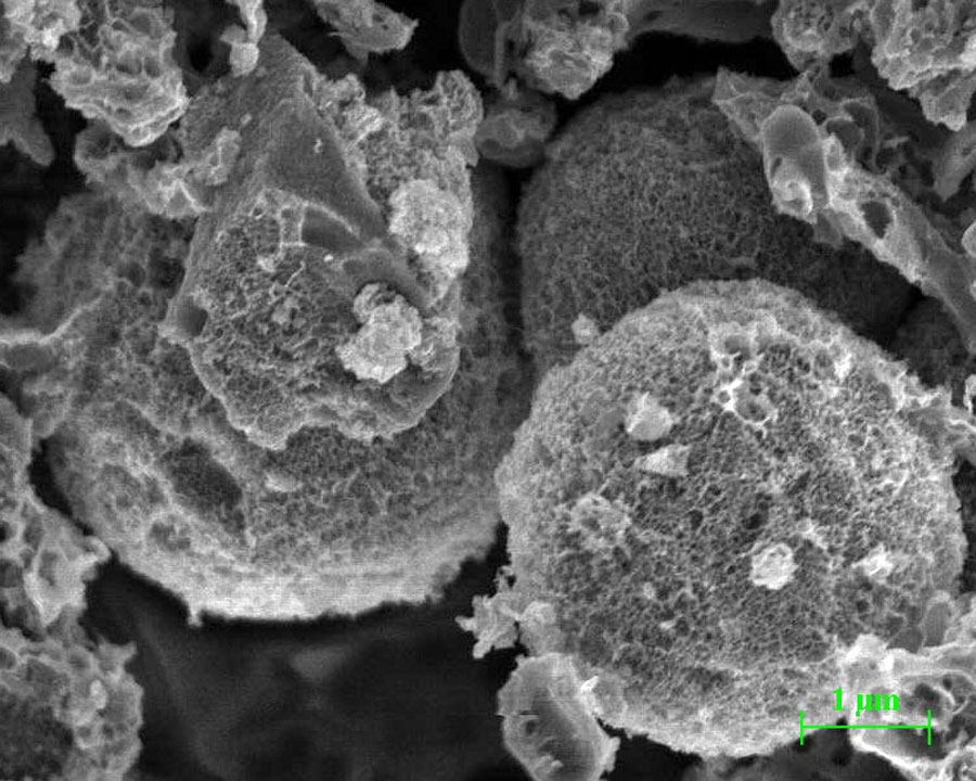 Scanning Electron Microscopy (SEM) image of porous carbon microspheres Credit: Hongfang Ma, Qilu University of Technology
