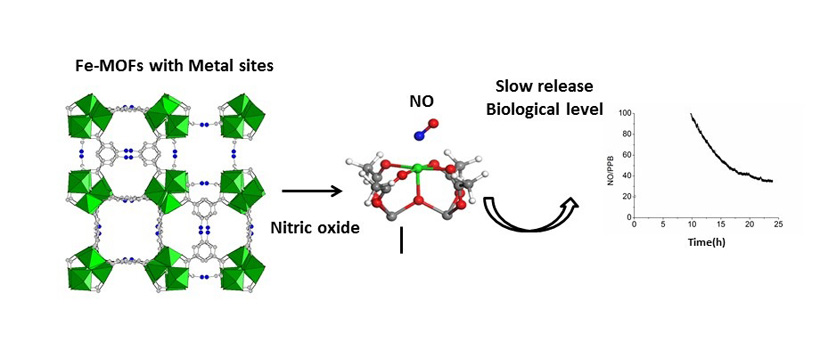 schematic representation of the use of porous iron carboxylate for the controled delivery of Nitric Oxide