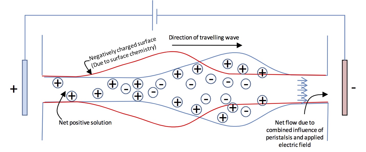  A diagram of electric fields employed for modification of electrolytic flow through peristalsis. CREDIT - A. Bandopadhyay & S. Chakraborty /Univ. Rennes &I ndian Institute of Technology Kharagpur