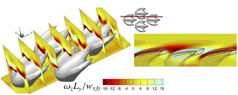 Computer simulations unveil flow around sharkskin