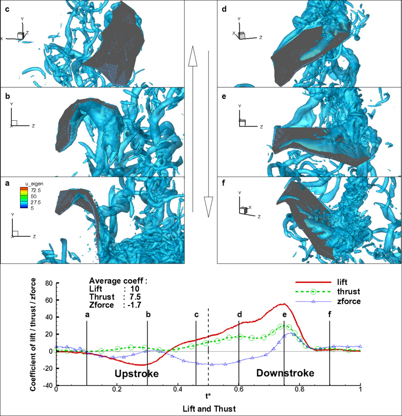 Aerodynamics of a Bat in Forward Flight