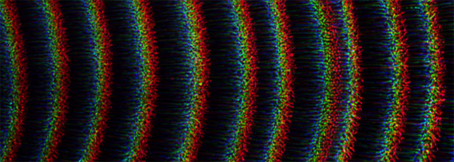 A self-excited dust density wave Credit: Jaiswal et al.