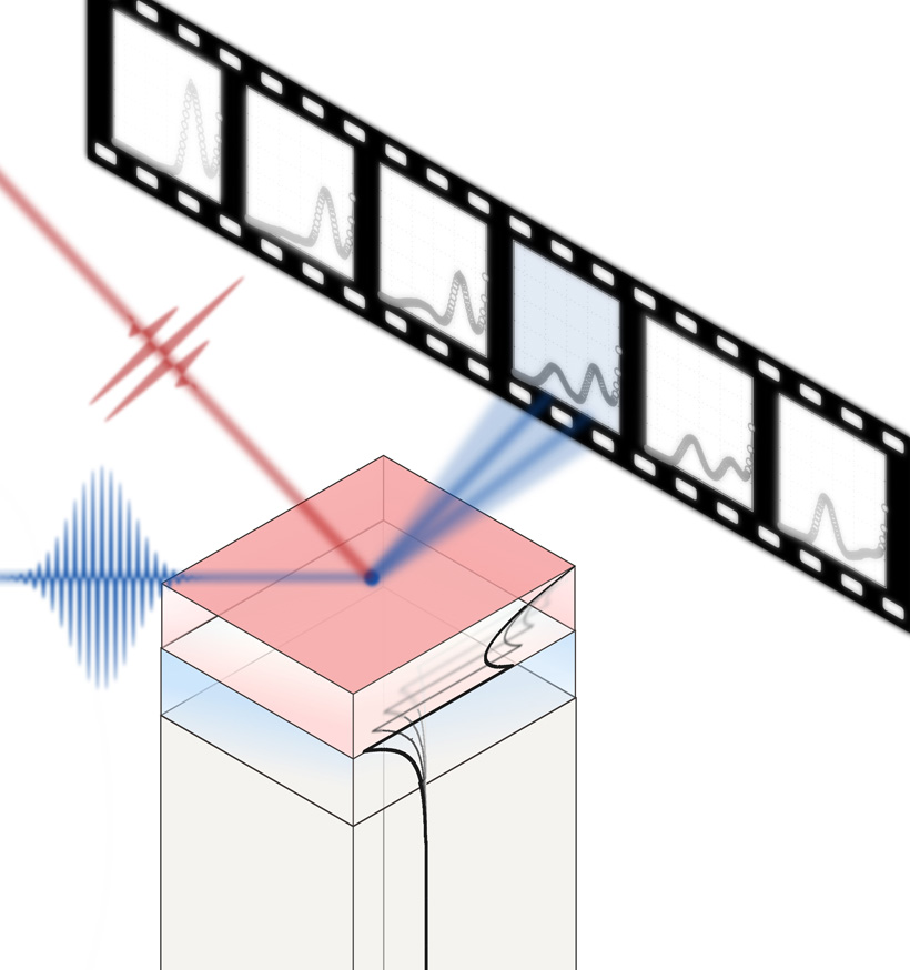 X-ray diffraction snap shot of coherent lattice dynamics