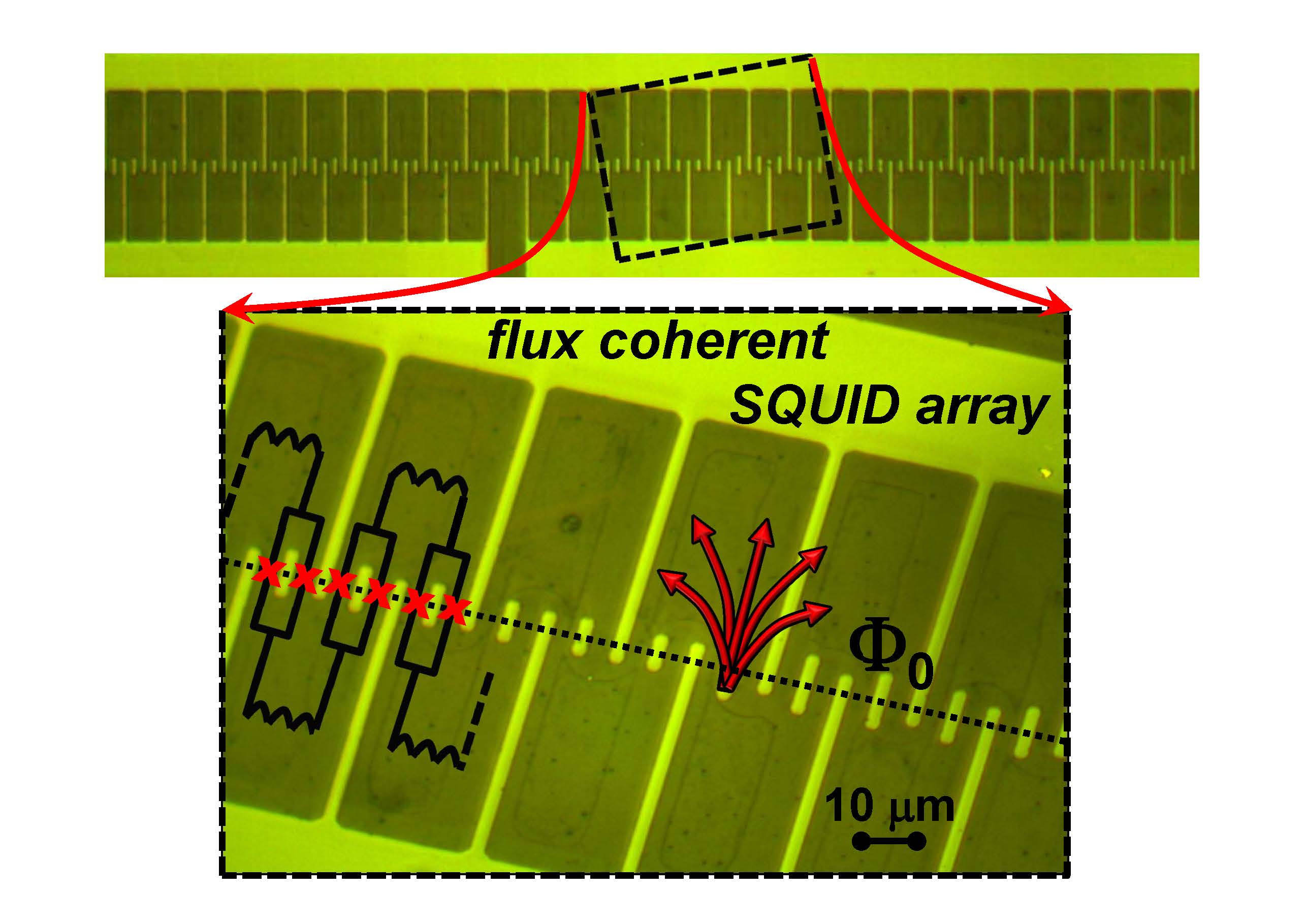 Optical micro-picture of a small part of a 484 series SQUID array showing 54 SQUIDs and a high resolution picture showing only 11 SQUIDs. The array is fabricated by optical lithography after depositing a YBa2Cu3O7  thin film on a SrTiO3 bicrystal. Each SQUID consists of two Josephson junctions connected in parallel. The Josephson junctions (schematically represented as red crosses) can be seen as 3 micron-wide narrow bridges crossing the bicrystal boundary shown with a dotted line. Each pair of successive SQUIDs is connected in series via inductive large area narrow flux-focusers (one is highlighted with a red U-shape). The flux inside each SQUID hole is quantized. Flux coherency in the array is reached when each SQUID hole is penetrated by the same number of integers of flux quanta. Credit-Boris Chesca / Loughborough University