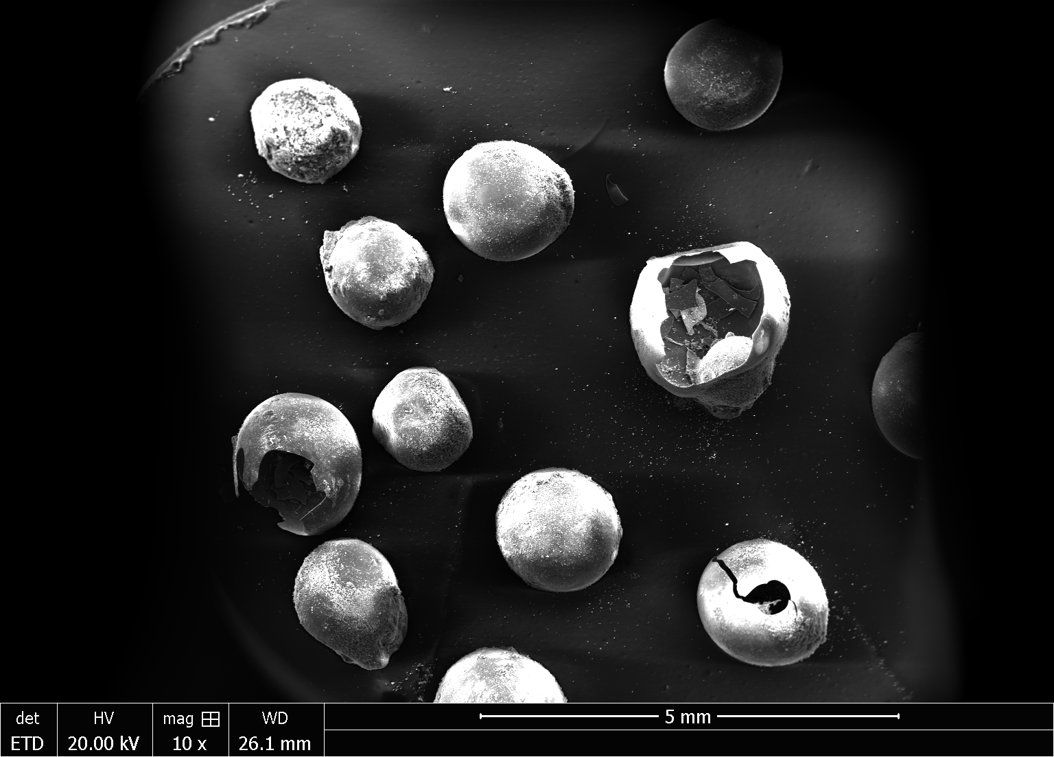 Scanning electron microscopy image of hollow spheres made from sucrose.