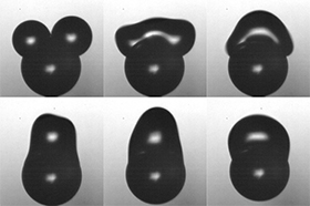 Coalescence of two water drops on a polystyrene particle leads to the launching of the particle away from the supporting substrate. This figure is the same as the cover image for the July 4th issue, and is adapted from Figure 2a of the paper. Both avi and mov files for this figure are attached.<br/>CREDIT: Roger L. Chavez/Duke University