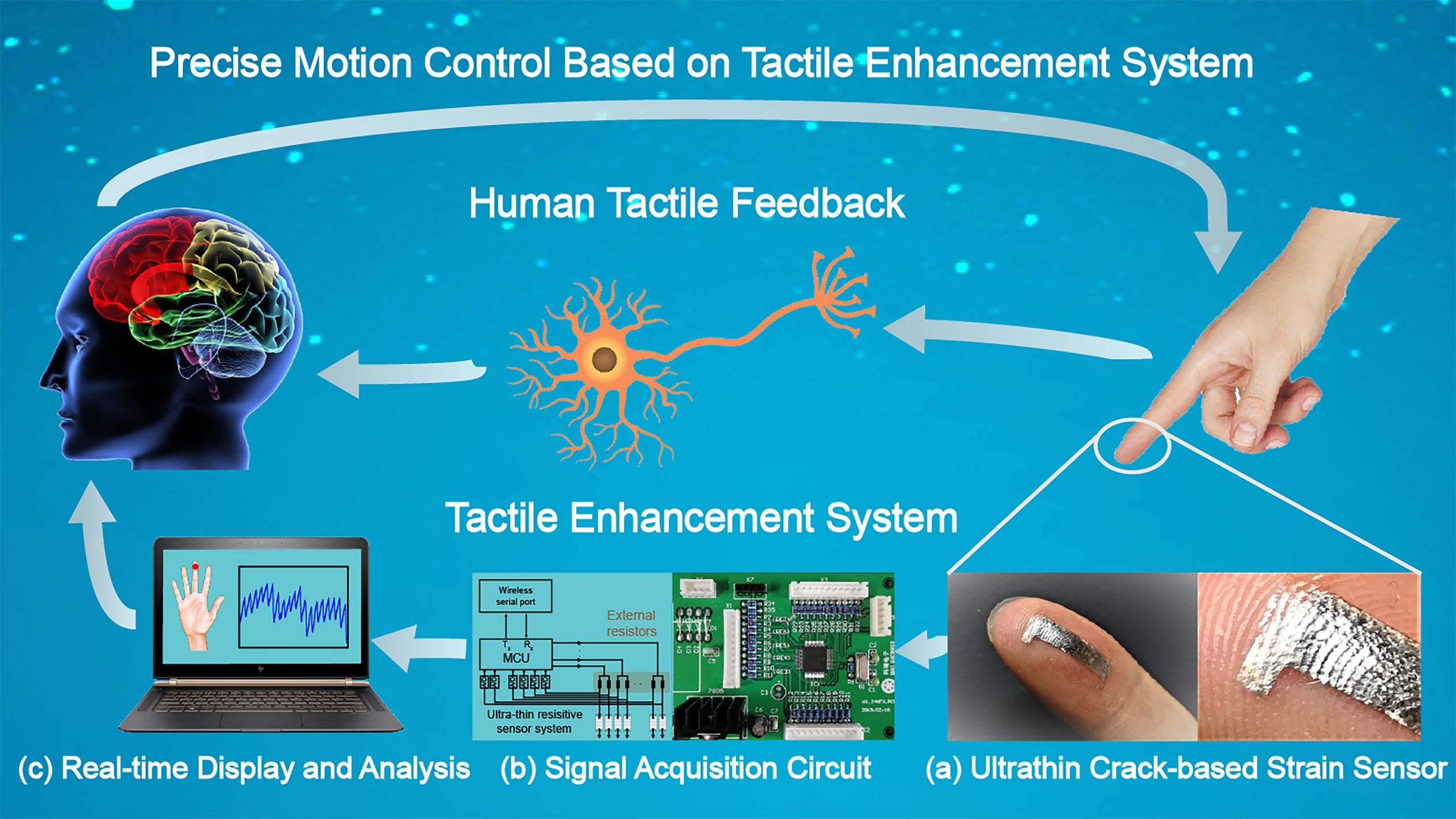 Highly Sensitive Sensors Show Promise in Enhancing Human Touch AIP