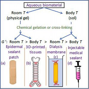 Newswise: Adjusting Processing Temperature Results in Better Hydrogels for Biomedical Applications
