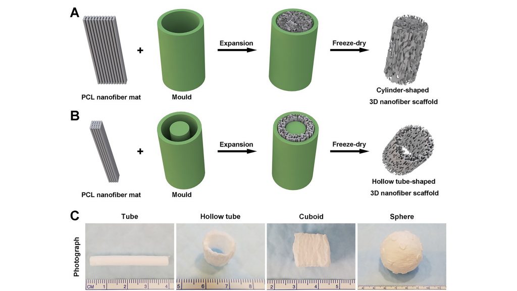 Schematic illustrating the procedure of converting a 2D nanofiber mat into a cylinder-shaped nanofiber scaffold with (a) a hollow tube-shaped mold for a cylindrical shape and (b) a customized scaffold for a tube shape. The photographs (c) represent the different scaffold that can be created with different mold shapes. CREDIT: Jingwei Xie