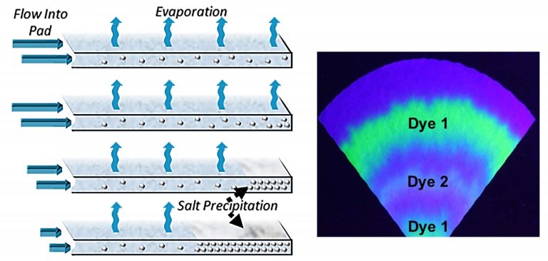 The evaporation of sweat on paper pads could be used for fluid transport in wearables over long periods of time. The resulting dry layer of caked salts would preserve a “time-stamped” record of biomarkers of interest. CREDIT: Orlin D. Velev and co-authors, NC State University