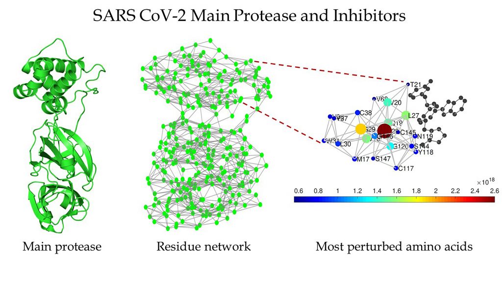 Schematic of the main protease of SARS CoV-2 (left), the protein residue network of the main protease of SARS CoV-2 (center), and a zoomed-in view of the region around the binding site as detected by Estrada (right). CREDIT: Ernesto Estrada