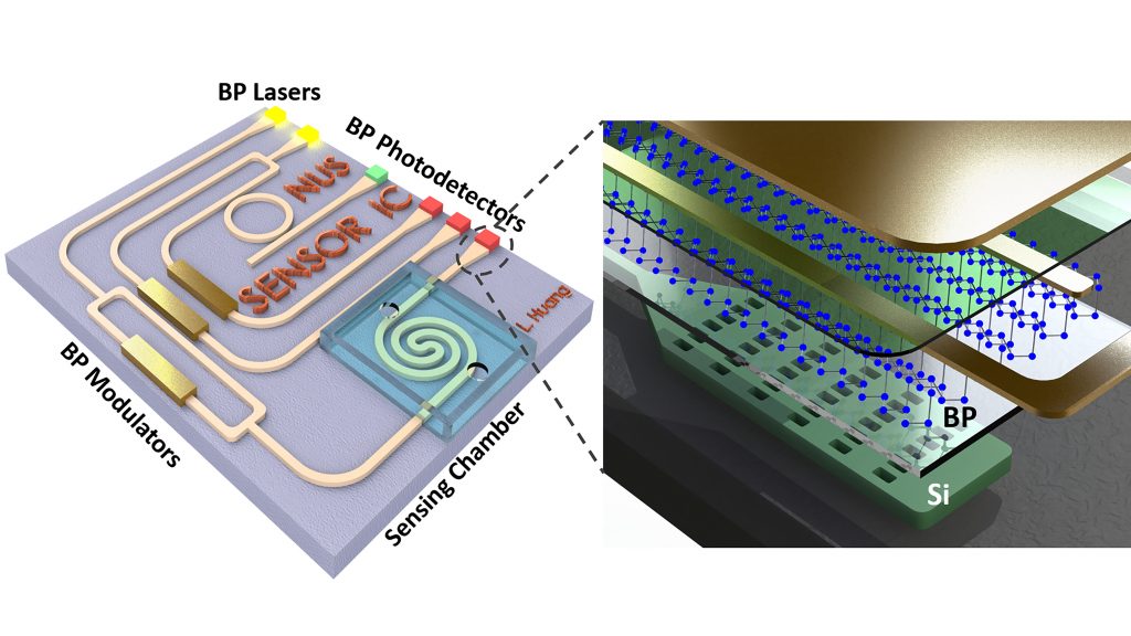 Schematics of an on-chip mid-infrared system based on black phosphorus-silicon hybrid platform. The passive silicon photonic layer serves to guide the mid-infrared light while black phosphorus plays an active role in light emission, modulation and detection. CREDIT: Bowei Dong and Li Huang