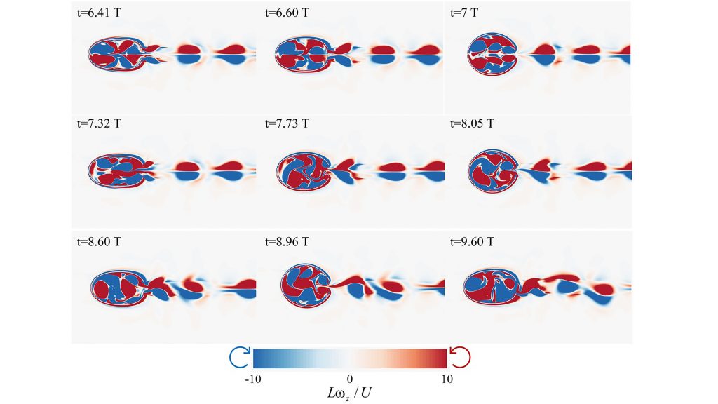 Development of the vorticity pattern into symmetry-breaking instability. CREDIT: Yang Luo