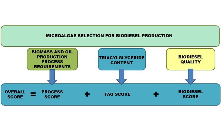 Newswise: Selecting Best Microalgae for Biodiesel Production