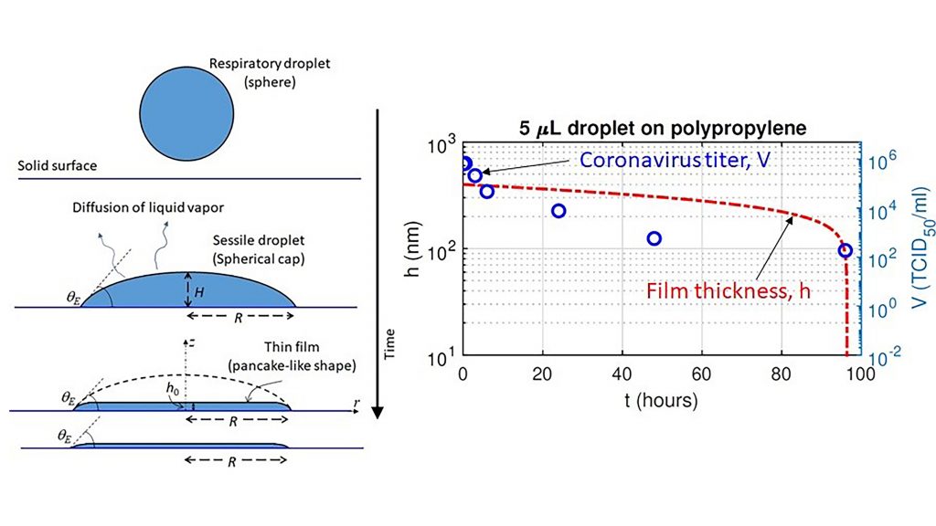 Schematic of a thin liquid film drying on a surface and comparison of time-varying film thickness with a coronavirus titer (the lowest concentration of virus that still infects cells) on plastic. CREDIT: R. Bhardwaj and A. Agrawal 
