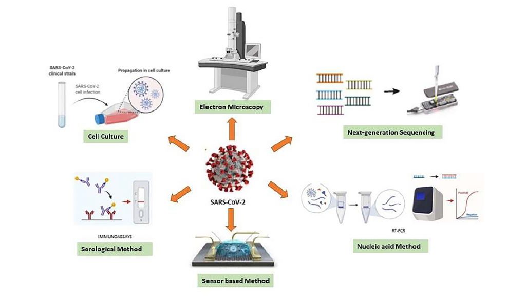 Various diagnostic techniques can be used for sensing the RNA of SARS-CoV-2. CREDIT: Saadet Alpdagtas and Elif Ilhan