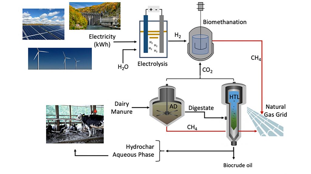 An integrated biorefinery approach utilizing agriculture waste biomass to produce renewable biomethane along with other co-products (for soil amendment, nutrient recovery, and transportation biofuels). CREDIT: Nazih Kassem, with images from Cornell University, Department of Energy