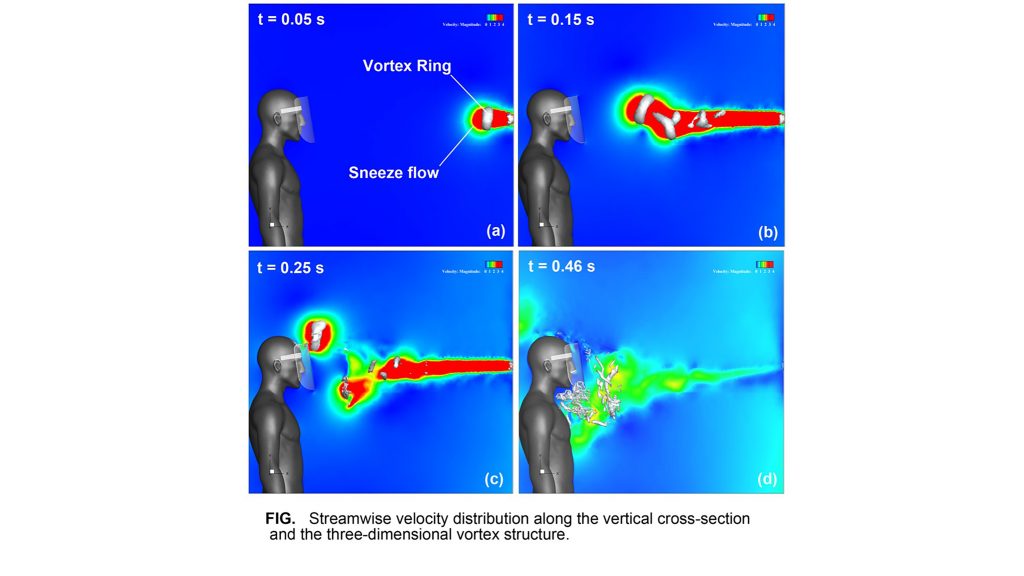 Sneeze vortex: Streamwise velocity distribution along the vertical cross section and the three-dimensional vortex structure. CREDIT: Fujio Akagi, Isao Haraga, Shin-ichi Inage and Kozaburo Akiyoshi