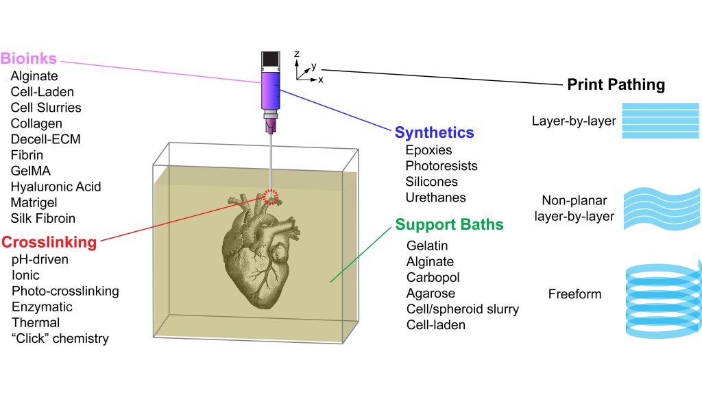 Customizability of the FRESH bioprinting platform CREDIT: Adam Feinberg and Andrew Hudson, Carnegie Mellon University